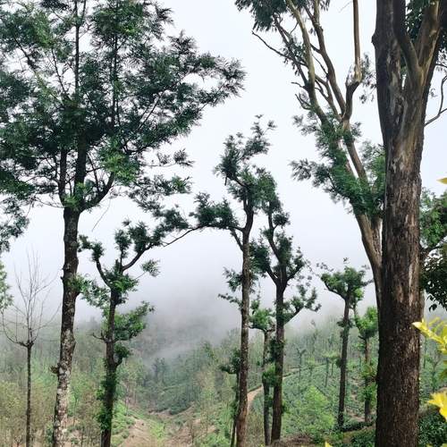 Photo #12946576