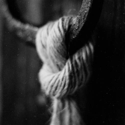 Photo #12946614