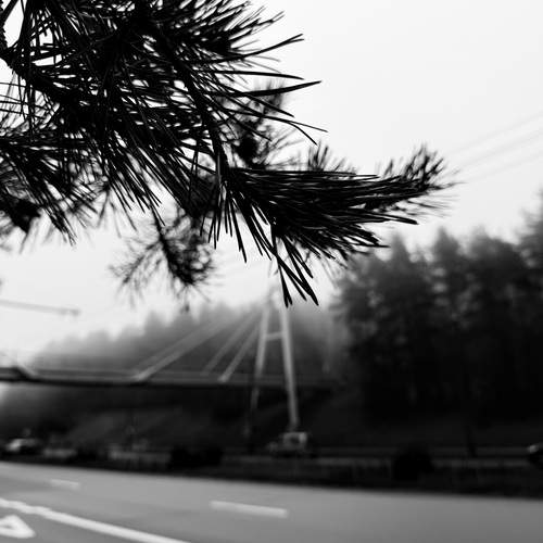 Photo #12946645