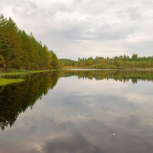 Photo #12946677