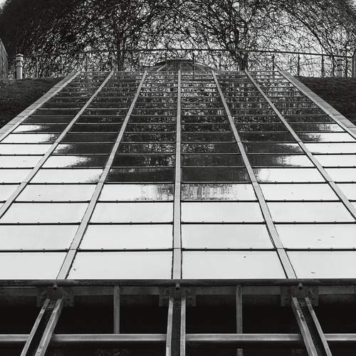 Photo #12947178