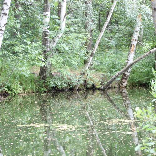 Photo #12947239