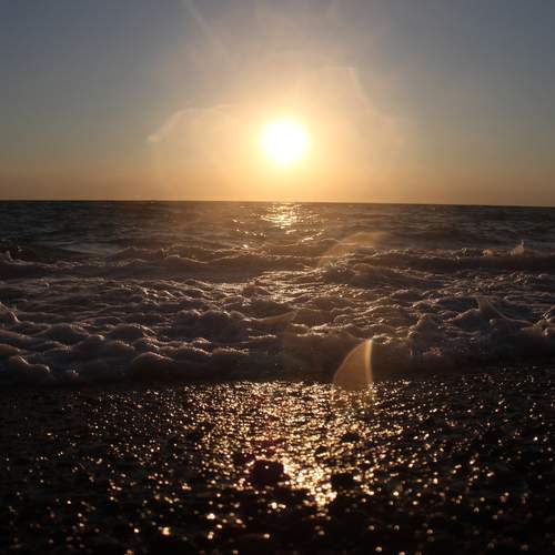 Photo #12947251