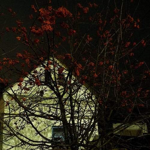 Photo #12947309