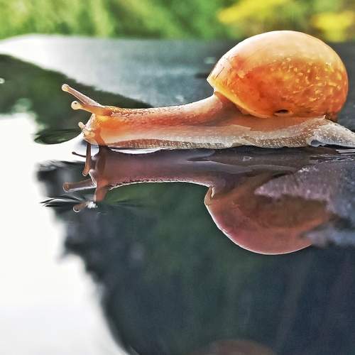 Photo #12947366