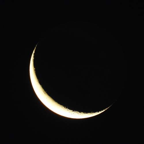 Photo #12947584
