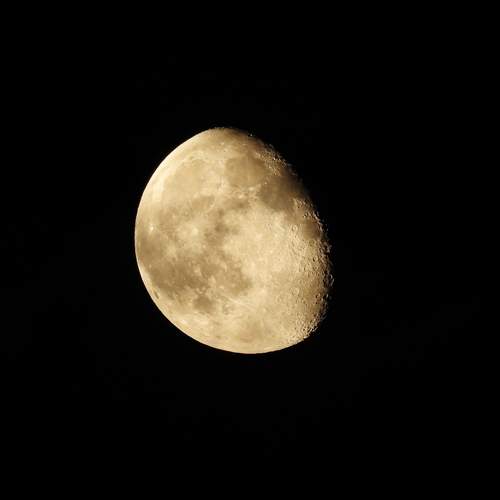 Photo #12947585