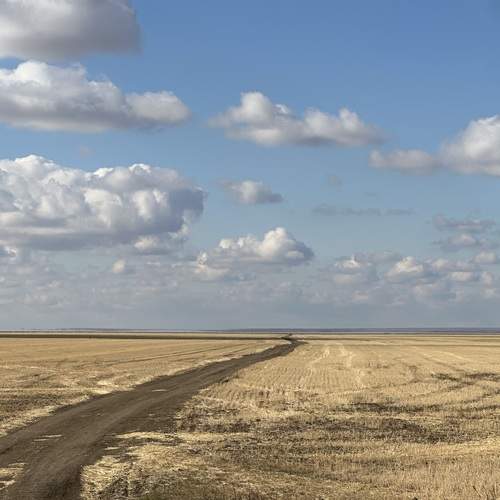 Photo #12947629