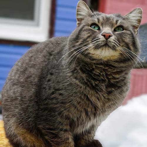 Photo #12948012