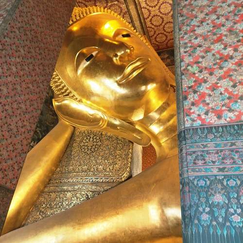 Photo #12948290