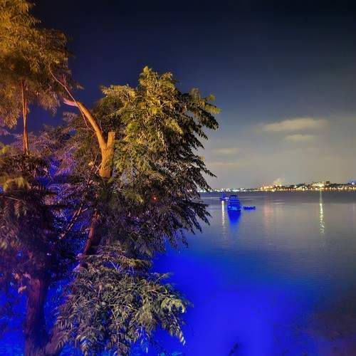 Photo #12948680