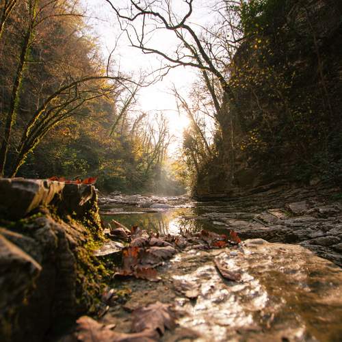Photo #12948825