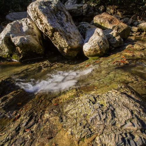 Photo #12948826