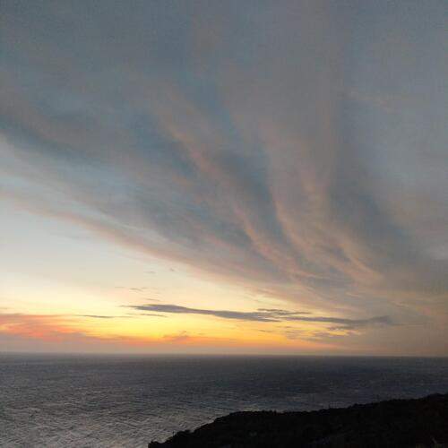 Photo #12948993