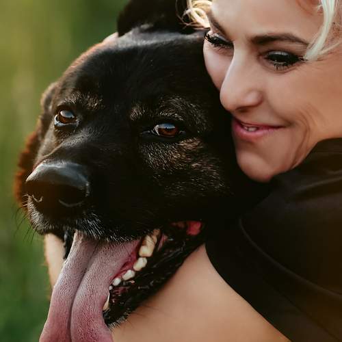 Photo #12949578