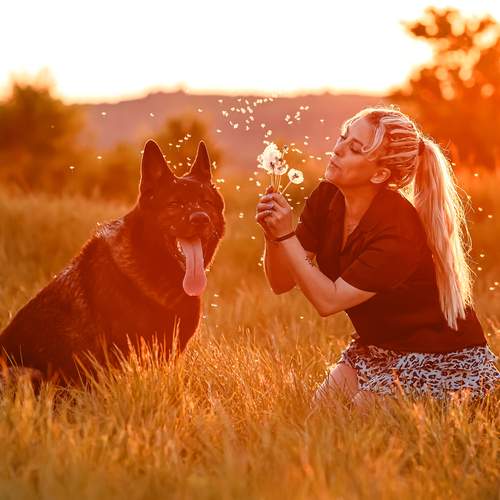 Photo #12949588