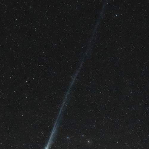 Фотография #12949719