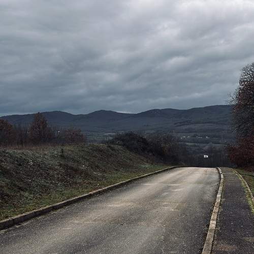Photo #12950075