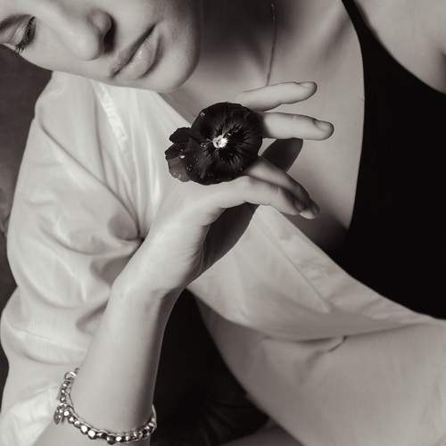 Photo #12950463
