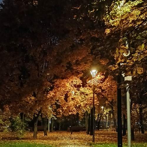 Photo #12950740