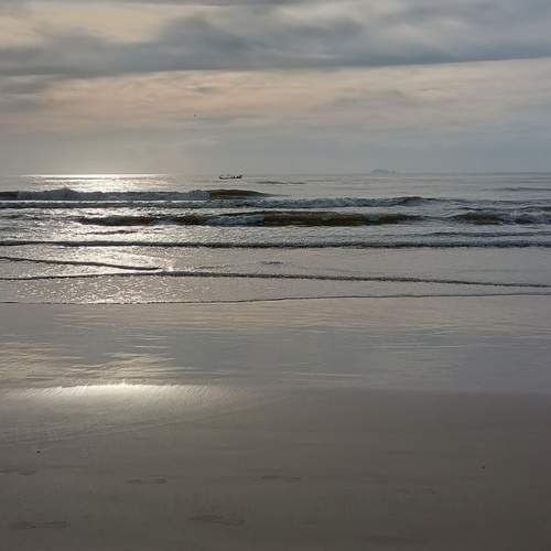 Photo #12951016