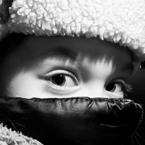 Photo #12951210