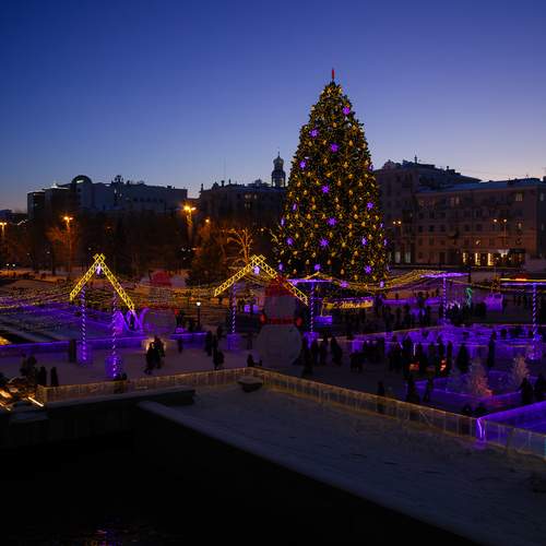 Photo #12951239