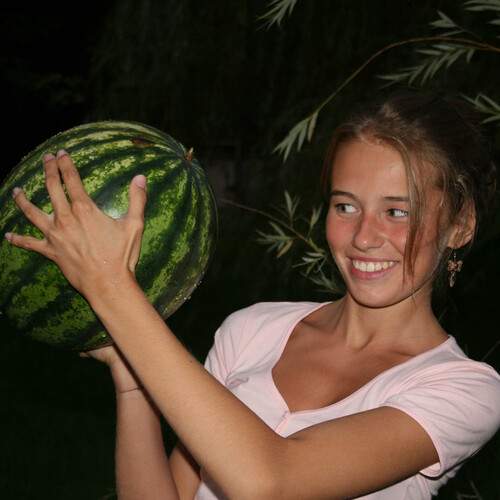 Photo #12951278