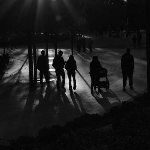 Photo #12951736