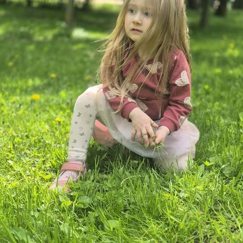 Photo #12951863