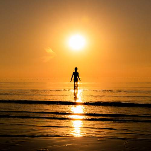 Photo #12952033