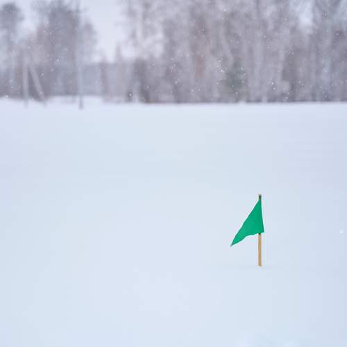 Photo #12952087