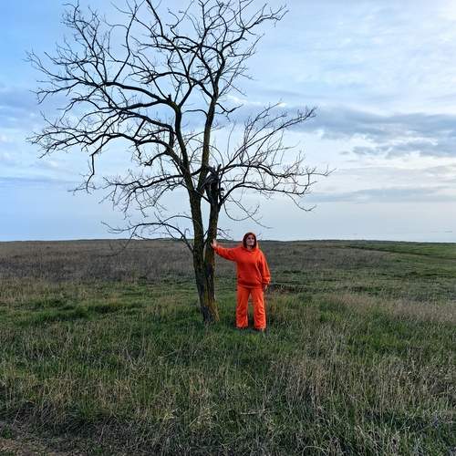 Photo #12952212