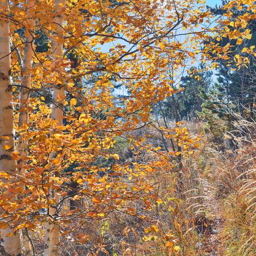 Photo #12952589