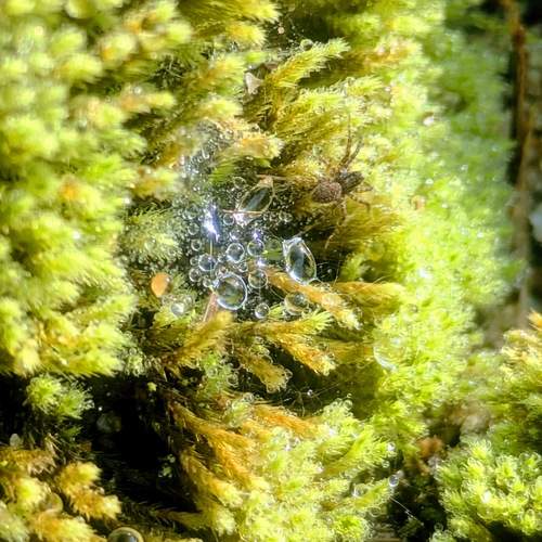 Photo #12952706
