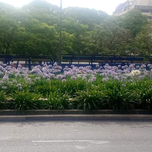 Photo #12953301