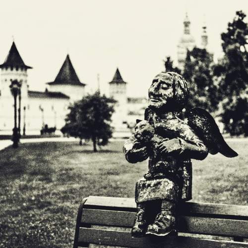 Photo #12953400