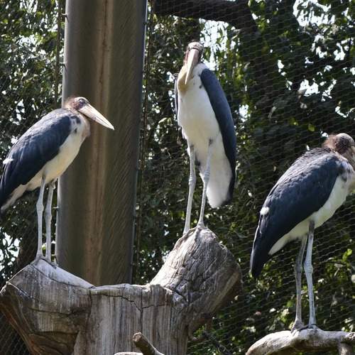 Photo #12953992