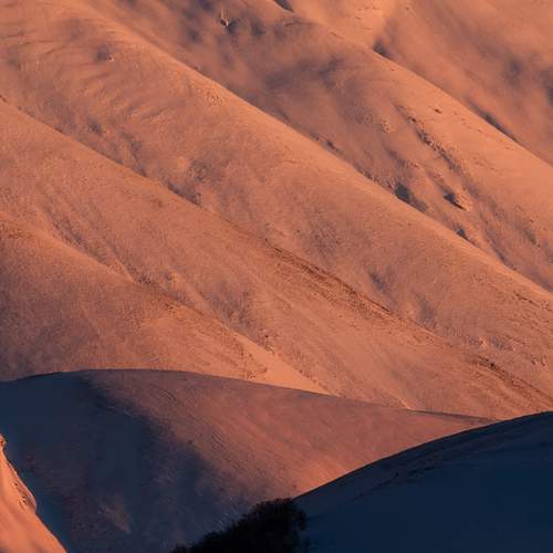 Photo #12954687