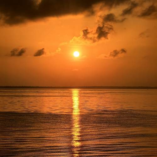 Photo #12955607
