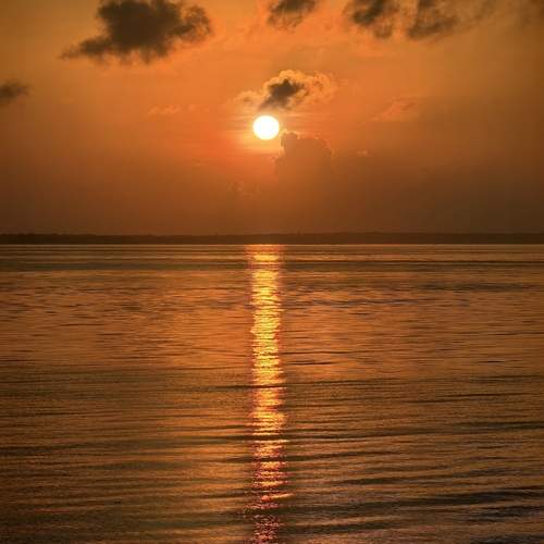 Photo #12955608