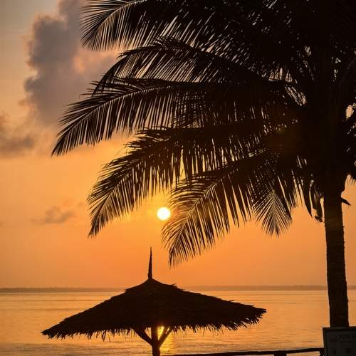 Photo #12955609