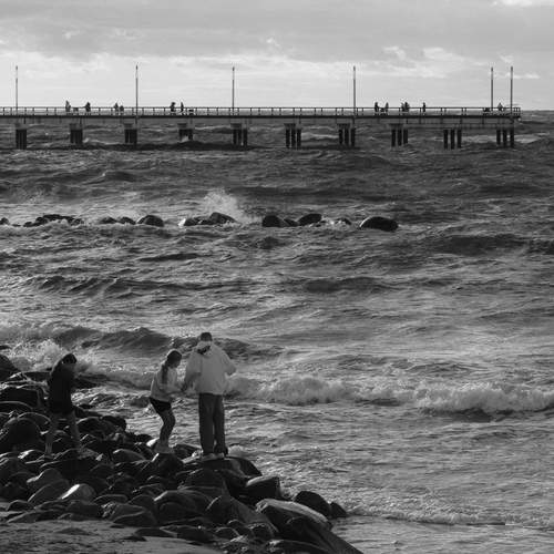 Photo #12955730