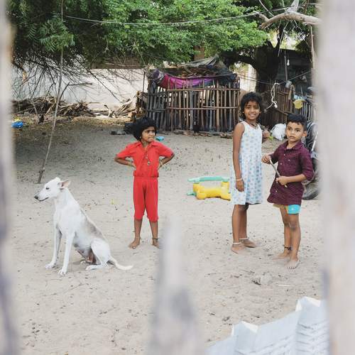 Photo #12955742