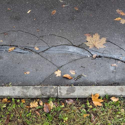 Photo #12955936