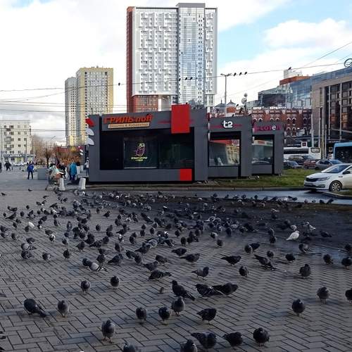 Photo #12955973