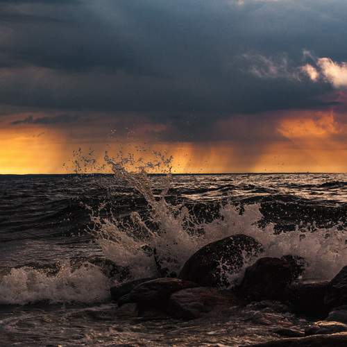 Photo #12956286