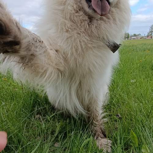 Photo #12956396