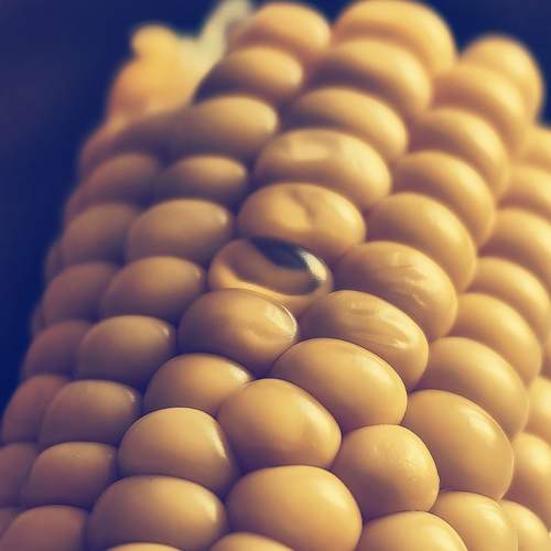 Photo #12956568