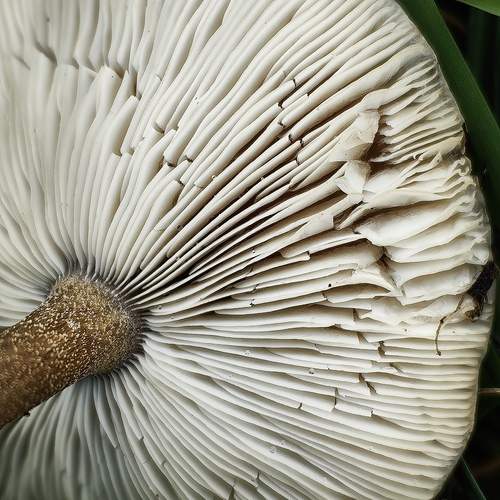 Photo #12956569